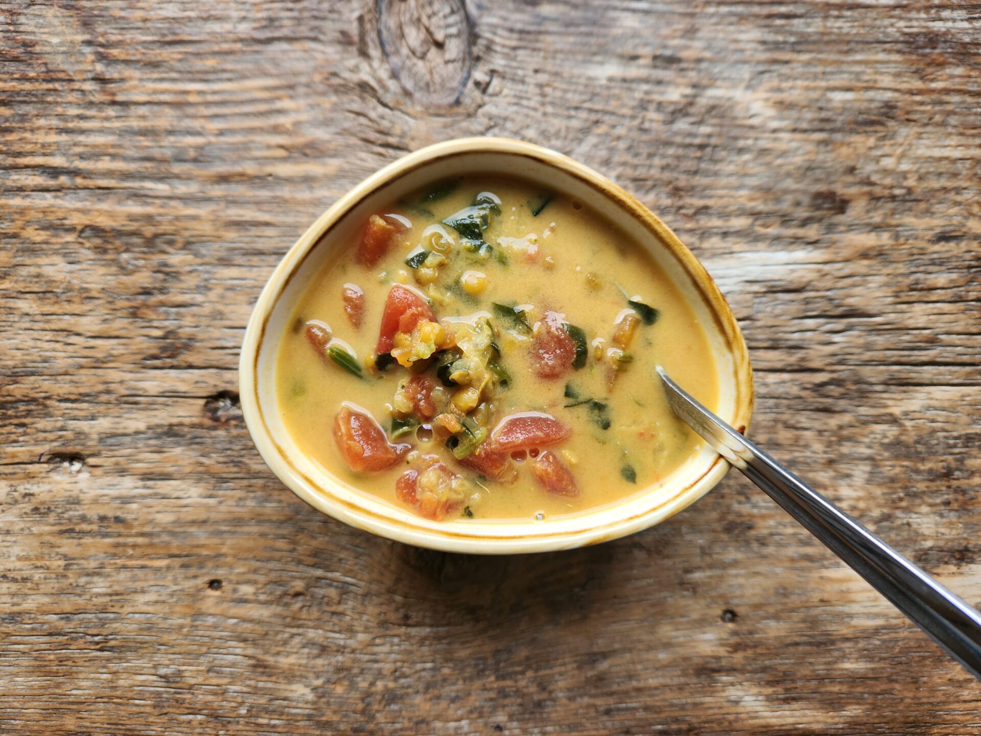 Soupe aux lentilles françaises (Congelée)