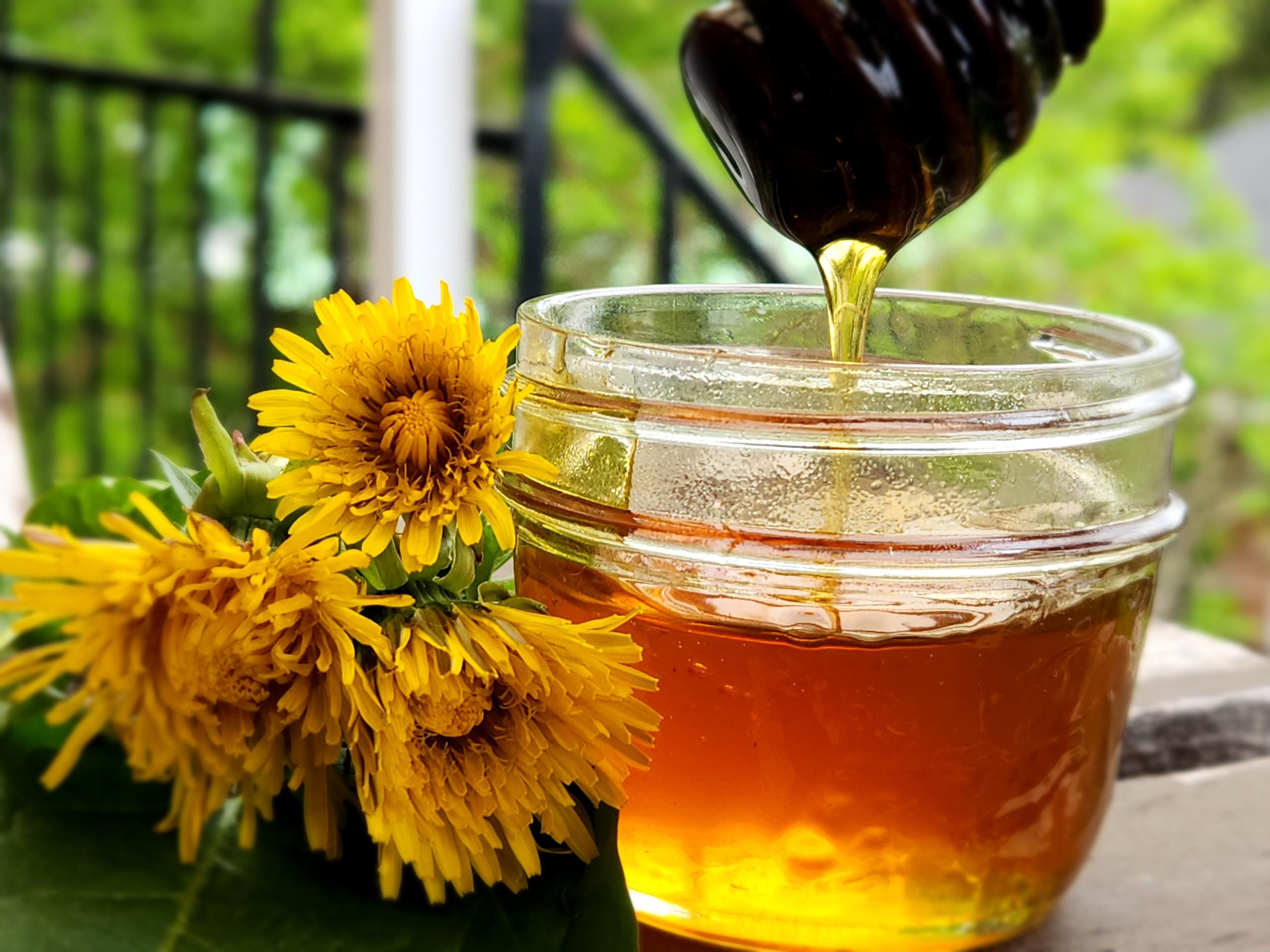 miel de pissenlit